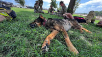 TEXAS1 2048-1536-max